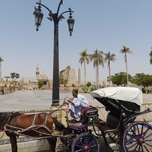 Kutschefahrt in Luxor